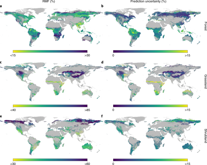 The Global Distribution And Environmental Drivers Of Aboveground Versus Belowground Plant Biomass Nature Ecology Evolution
