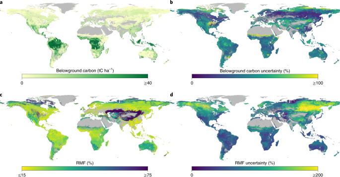 The Global Distribution And Environmental Drivers Of Aboveground Versus Belowground Plant Biomass Nature Ecology Evolution