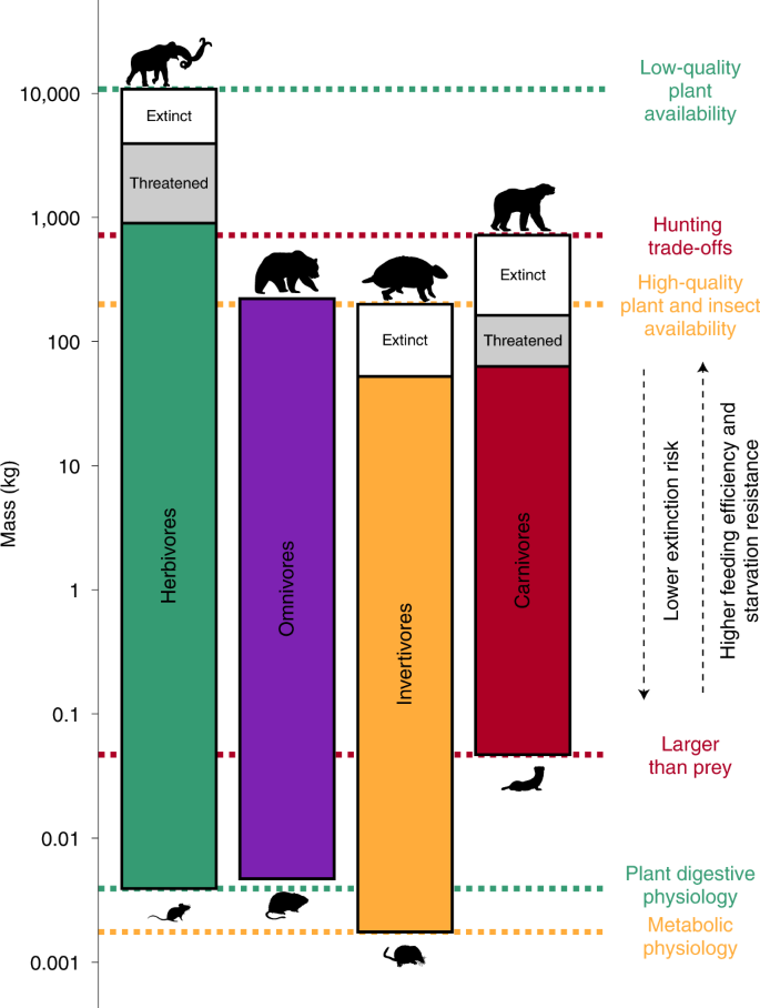 Extinct animals timeline