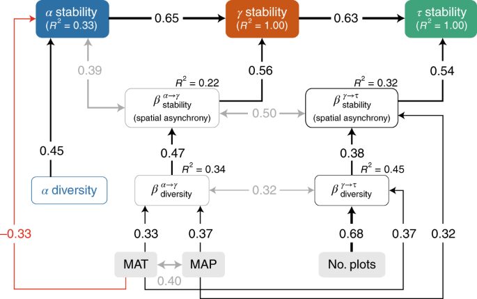 Consistent stabilizing effects of plant diversity across spatial