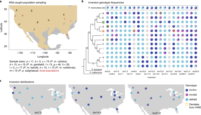 Fig. 4: Distributions and frequencies of inversions.