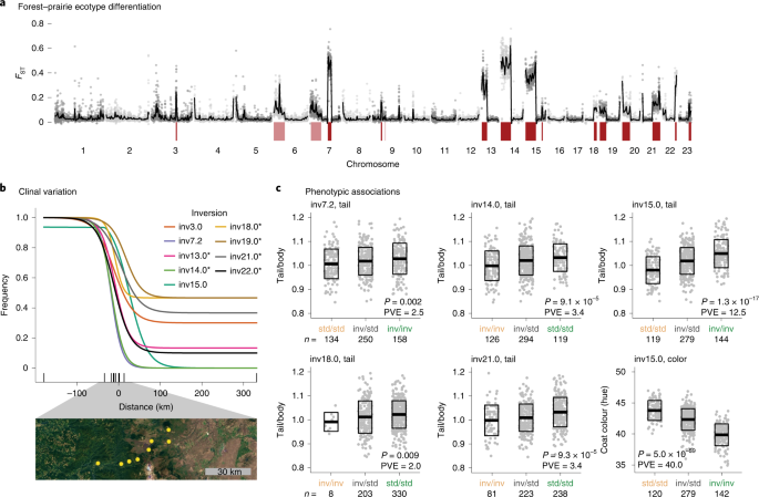 Fig. 6: Inversions involved in local adaptation.