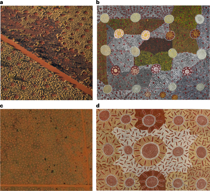 Fig. 1: Parallels in depiction of termite pavements in helicopter and satellite imagery and Aboriginal painting.