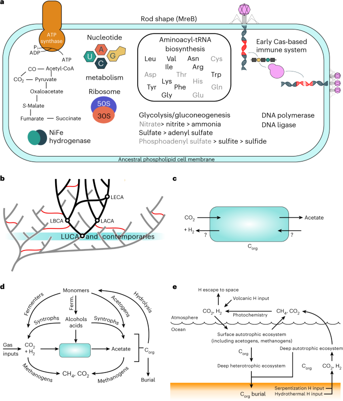parts of an empirical research paper figure 3