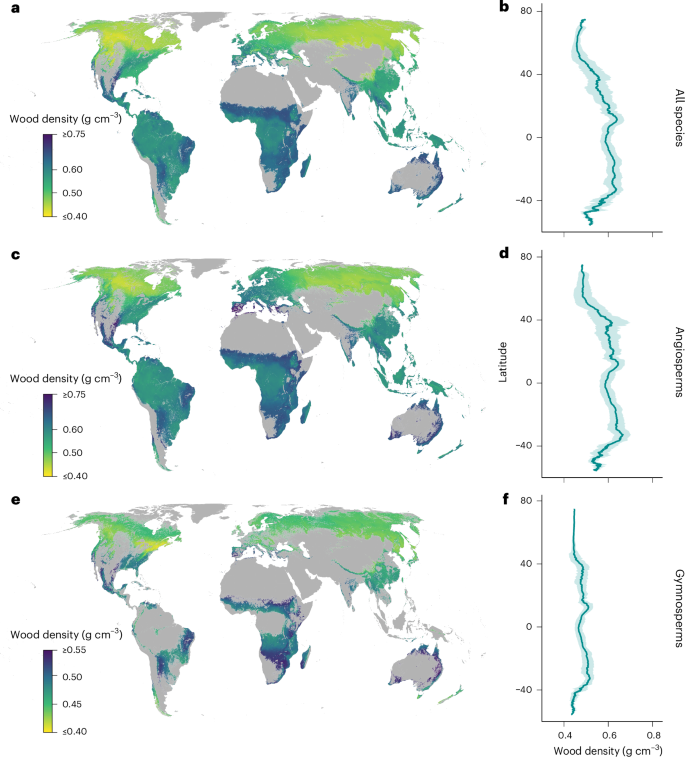 Fig. 3: Global maps of wood density.