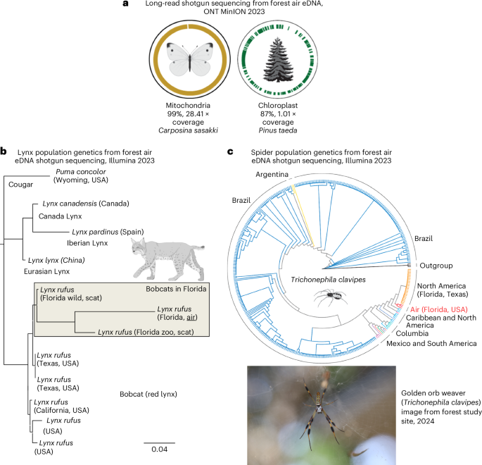 Fig. 3: Air eDNA-based wild species population genetics from complex natural community settings using shotgun sequencing.