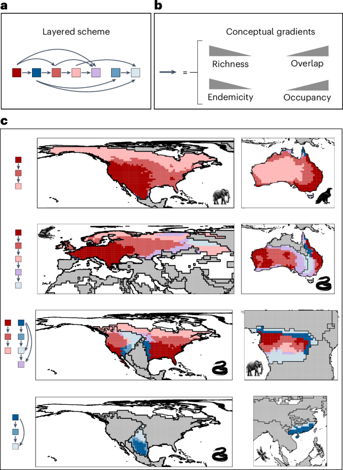 Fig. 3: Core-to-transition sequence of biogeographical sectors.