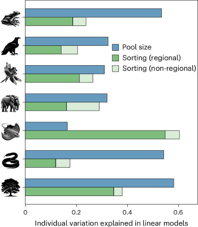 Fig. 5: Species sorting within biogeographical regions largely explains local variations in species richness across the planet.
