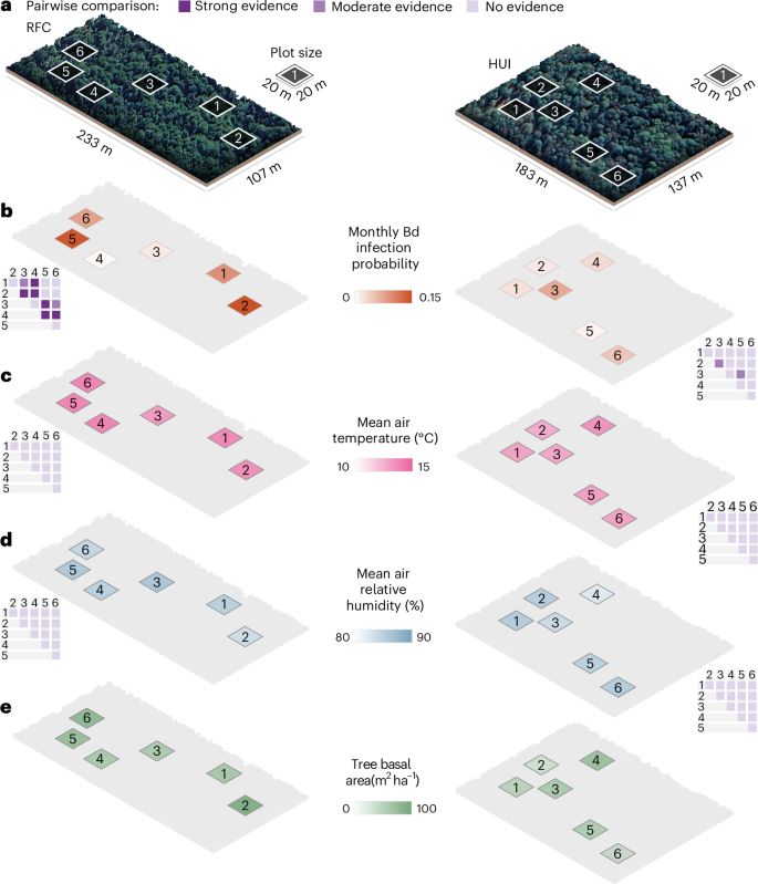 Fig. 1: Fine-scale spatial variation in monthly Bd infection probability and environmental variables in two spatially structured populations of R. darwinii in southern Chile.