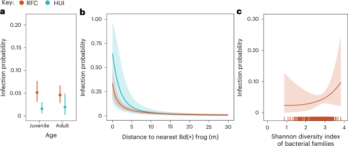 Fig. 2: Effect of individual-level variables on monthly Bd infection probability in R. darwinii individuals from two spatially structured populations in southern Chile.