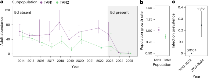 Fig. 3: Bd invasion and collapse of two R. darwinii subpopulations in Parque Tantauco, Chiloé Island, southern Chile.