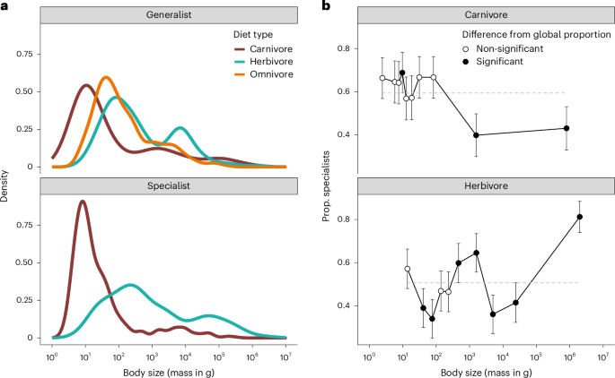 Fig. 3: Body size distribution in carnivore and herbivore species.