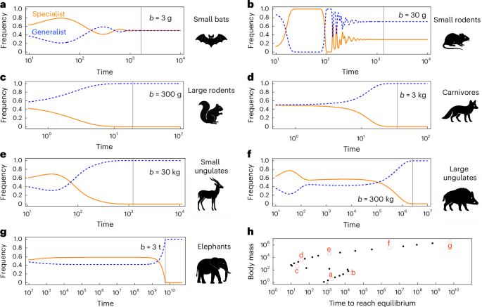 Fig. 5: The timescale to reach equilibrium varies with the body masses of competitors.