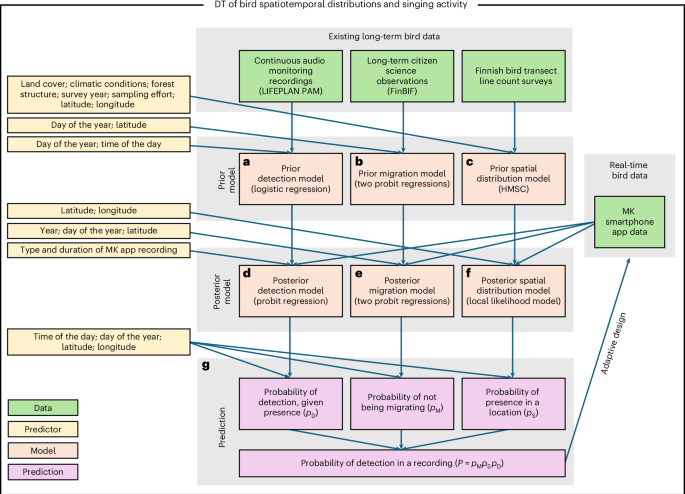 Fig. 2: Overview of the DT modelling strategy.