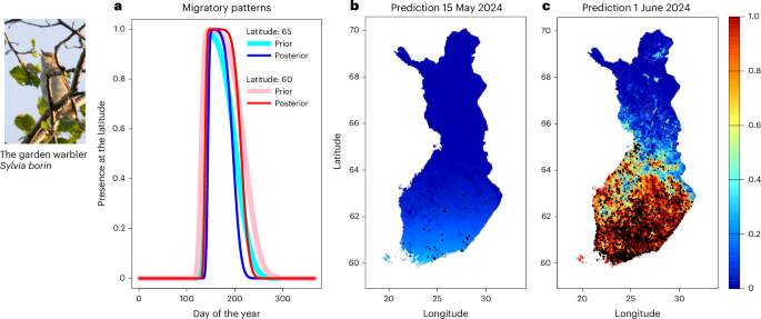 Fig. 4: Example illustrations of spatiotemporal predictions for the garden warbler (Sylvia borin).
