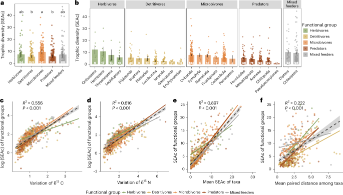 Fig. 2: Trophic diversity (corrected stable isotope ellipse area; SEAc) of different functional groups of soil animals (colour coded).