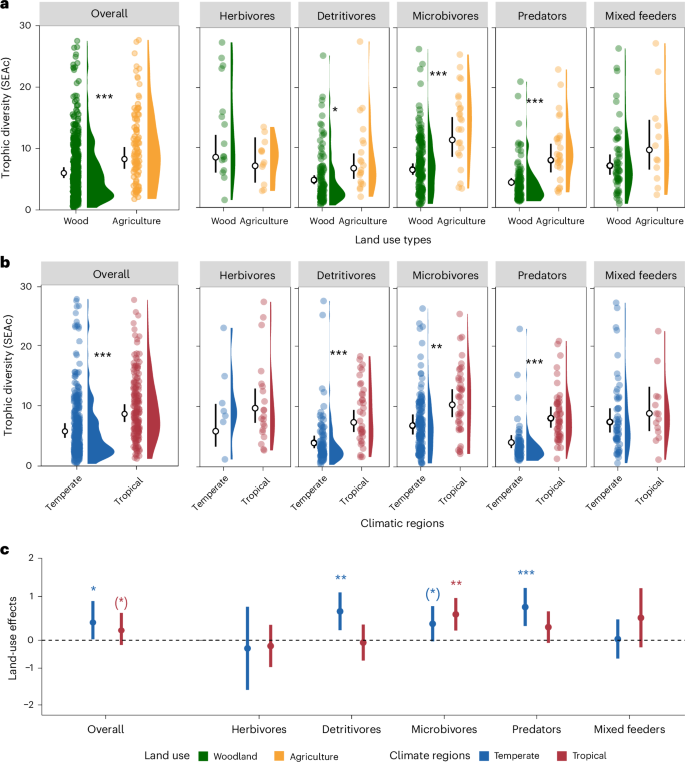 Fig. 3: Trophic diversity (SEAc) across functional groups and of each functional group of soil animals.