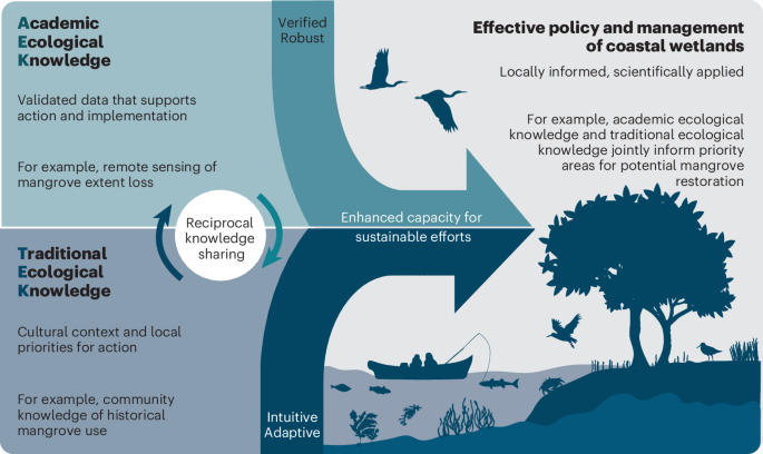 Fig. 2: Reciprocal knowledge sharing in BCE management.