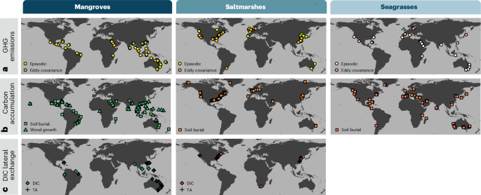 Fig. 4: Global distribution of carbon flux datasets for mangroves, tidal marshes and seagrasses.