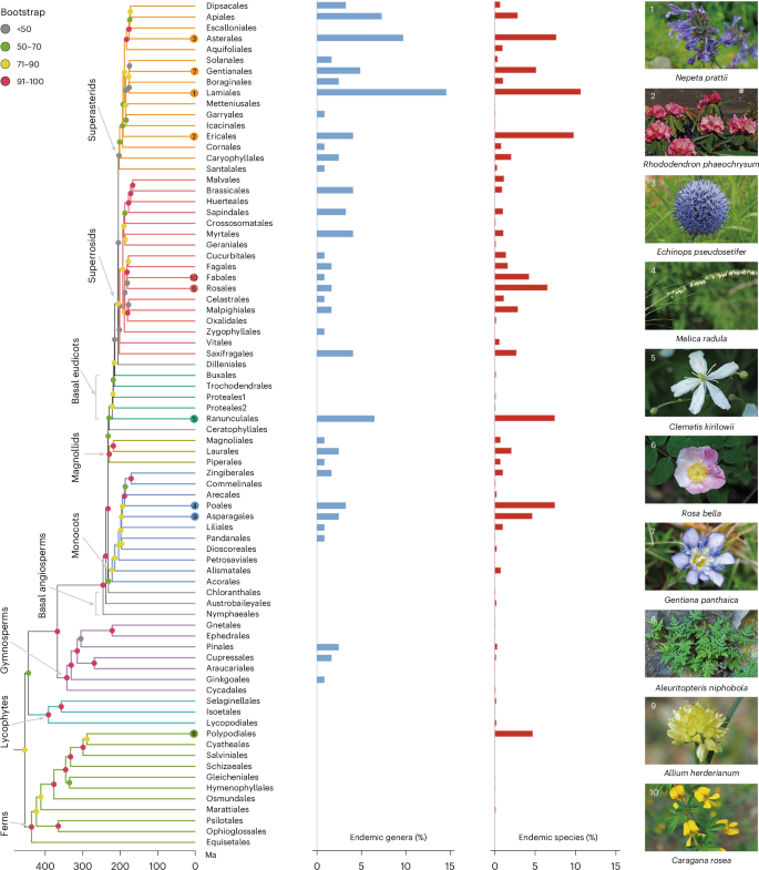 Fig. 1: Summarized dated phylogeny and taxonomic endemism of Chinese vascular plants.