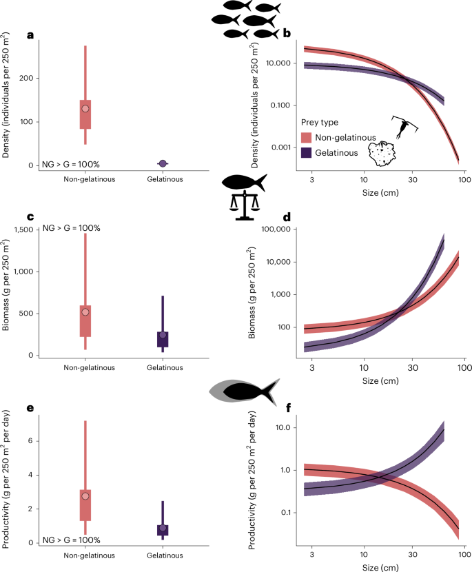 Fig. 3: Gelatinous versus non-gelatinous Indo-Pacific planktivorous fishes.
