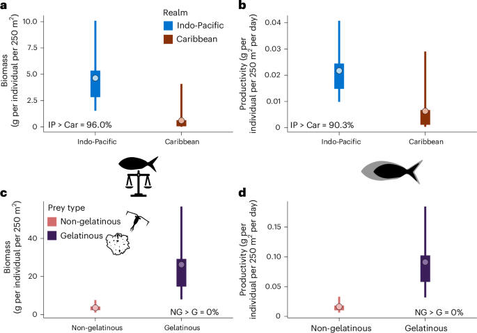 Fig. 4: Between-realm and within Indo-Pacific comparison of the per-capita contribution of planktivorous fishes.
