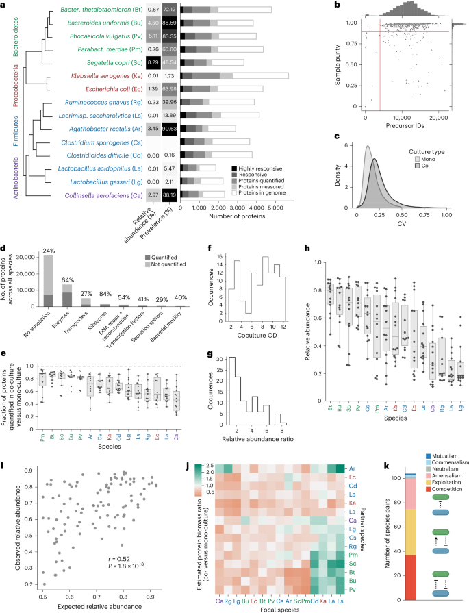Fig. 1: Extensive regulation of proteomes in pairwise co-cultures of human gut bacteria.