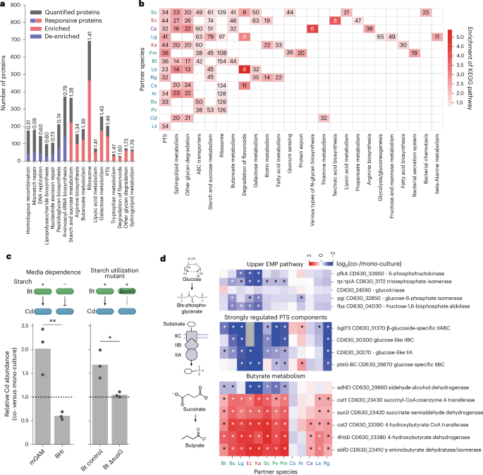 Fig. 3: Functional analysis of proteome changes.