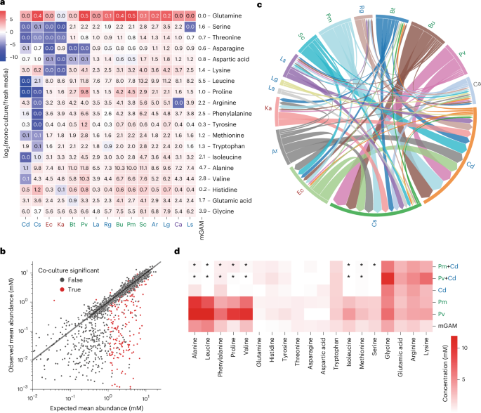 Fig. 5: Narrow amino acid preferences result in niche partitioning and cooperative protein digestion.
