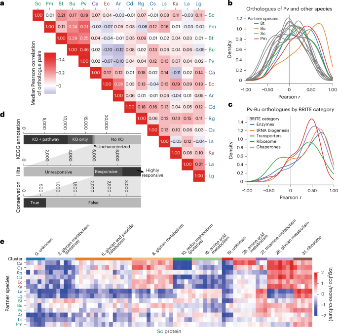 Fig. 6: Evolutionary divergence of proteome responses and functional genomics.