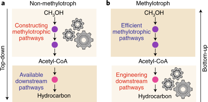 Barriers And Opportunities In Bio Based Production Of Hydrocarbons Nature Energy Barriers And Opportunities In Bio Based Production Of Hydrocarbons Nature Energy