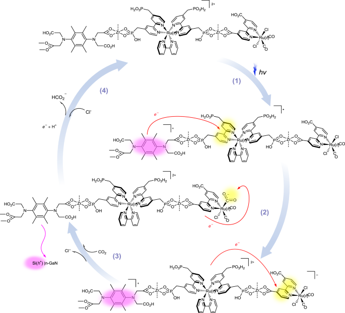 Binary Molecular Semiconductor P N Junctions For Photoelectrocatalytic Co 2 Reduction Nature Energy