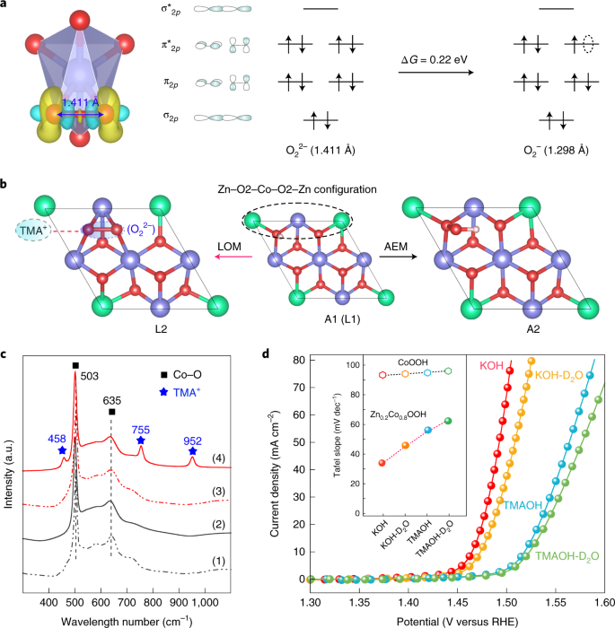 Chemical And Structural Origin Of Lattice Oxygen Oxidation In Co Zn Oxyhydroxide Oxygen Evolution Electrocatalysts Nature Energy