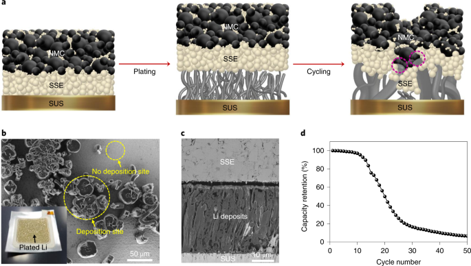 High-energy long-cycling all-solid-state lithium metal batteries enabled by  silver–carbon composite anodes | Nature Energy