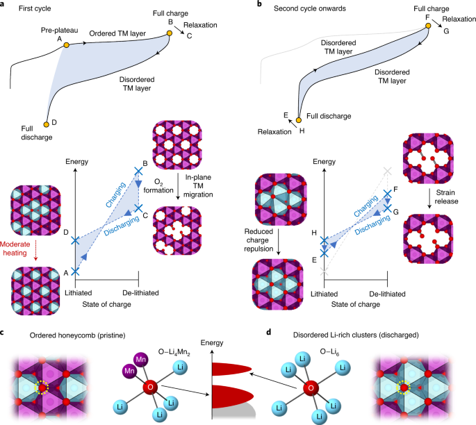 The Role Of O 2 In O Redox Cathodes For Li Ion Batteries Nature Energy