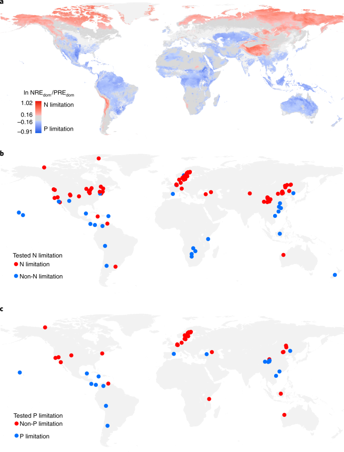 Global Patterns Of Terrestrial Nitrogen And Phosphorus Limitation Nature Geoscience Global Patterns Of Terrestrial Nitrogen And Phosphorus Limitation Nature Geoscience