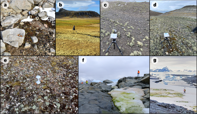 南極の植物調査、保全活動に役立てる(Antarctic survey of plant life to aid conservation efforts)
