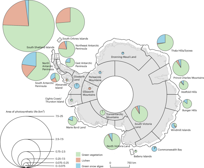 Fig. 3: Vegetation within Antarctica’s expert-defined bioregions.