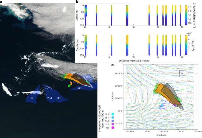 Fig. 4: Biogeochemical impacts.