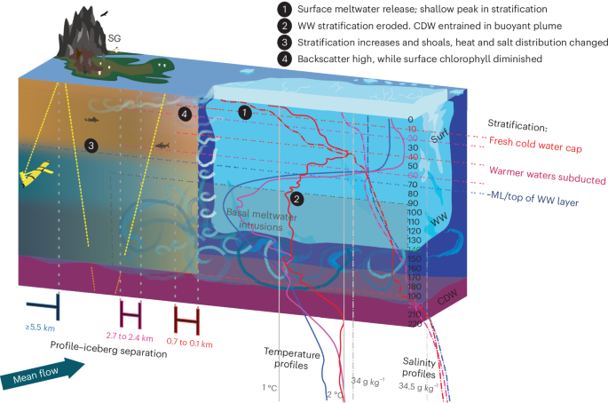 Fig. 6: Overview schematic.