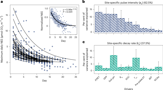 Fig. 3: Rain-induced CO2 pulses decay across sites.