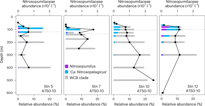 Fig. 2: Nitrosopumilaceae abundances and community composition in the eastern tropical Pacific Ocean.