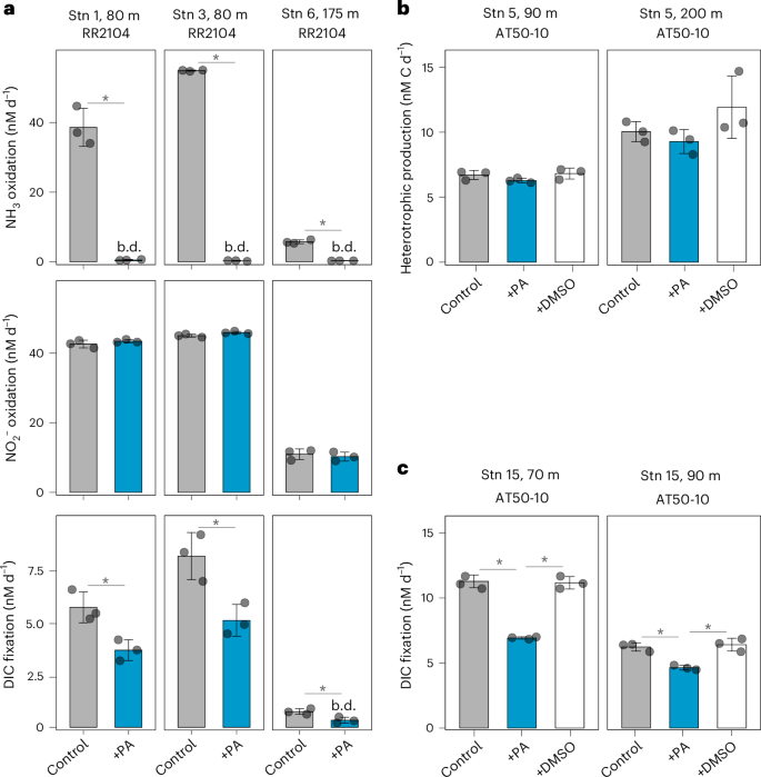 Fig. 3: Effect of phenylacetylene on rates of microbial processes in ocean samples.