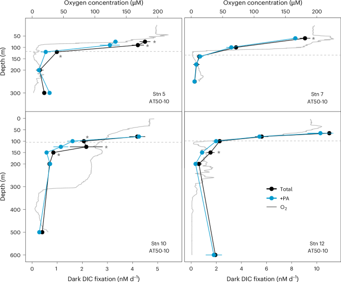 Fig. 4: Depth-resolved dark DIC fixation rates in the eastern tropical Pacific Ocean.