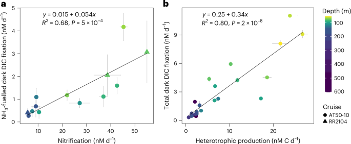 Fig. 5: Relationships between dark DIC fixation, ammonia oxidation and heterotrophic production rates in the eastern tropical and subtropical Pacific Ocean.