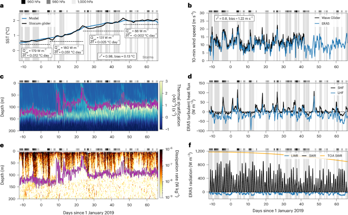 Fig. 2: Summer warming regulated by storm-driven mixed-layer depth variability.