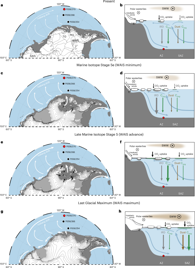 Fig. 4: Schematic of major phases of ice-driven carbon uptake in the Southeast Pacific over the last glacial cycle.