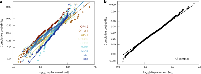 Fig. 2: Probability distributions of displacement bursts.