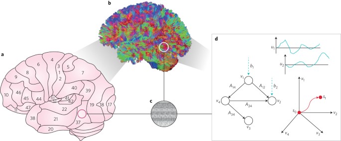 Mind control as a guide for the mind | Nature Human Behaviour