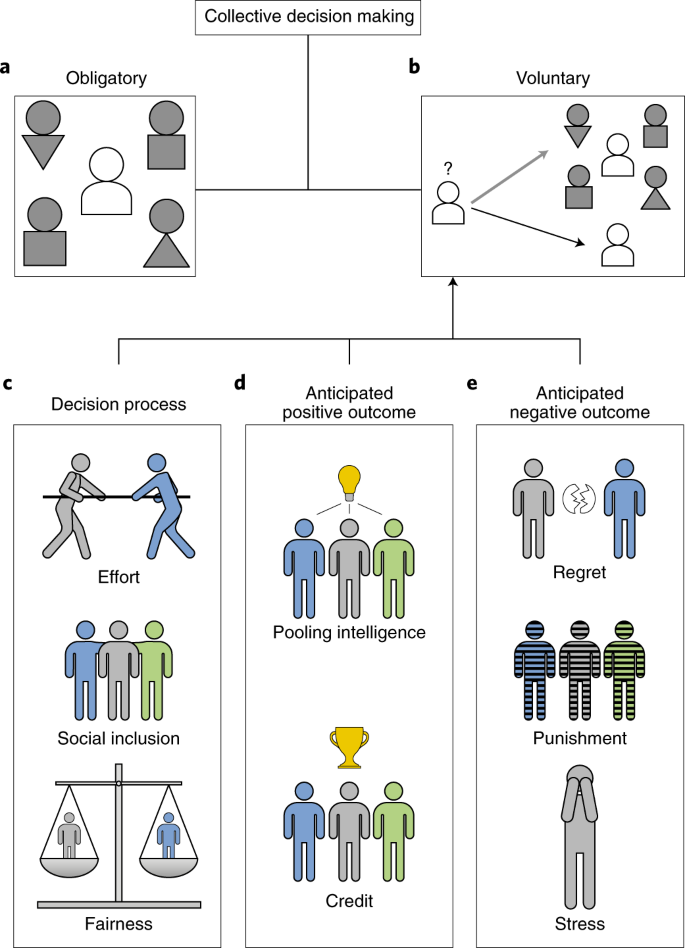 Shared Responsibility In Collective Decisions Nature Human Behaviour Shared Responsibility In Collective Decisions Nature Human Behaviour